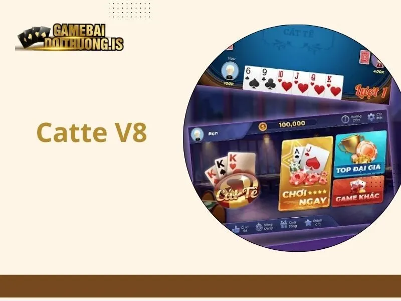 Catte V8
