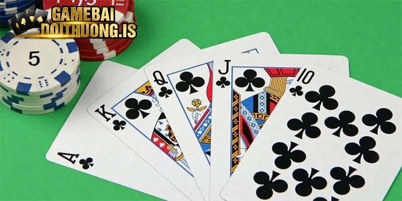 Mậu Bình x8